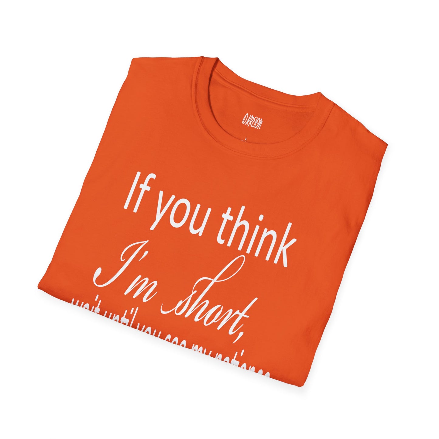 If You Think I'm Short Wait Until You See My Patience Softstyle Funny Sarcastic T-Shirt