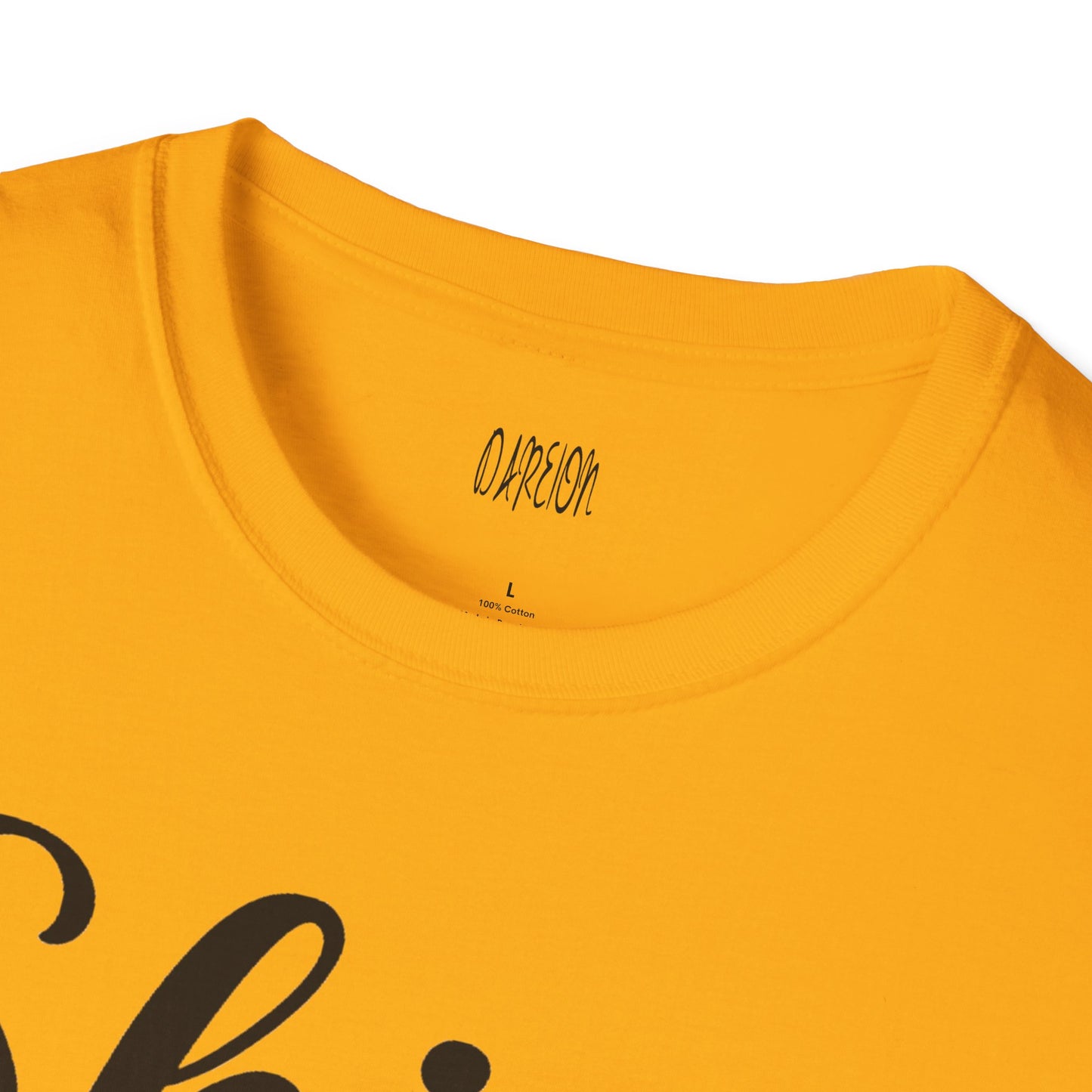 Inspirational T-Shirt for Women- 'Shine Like a Light in the Dark'