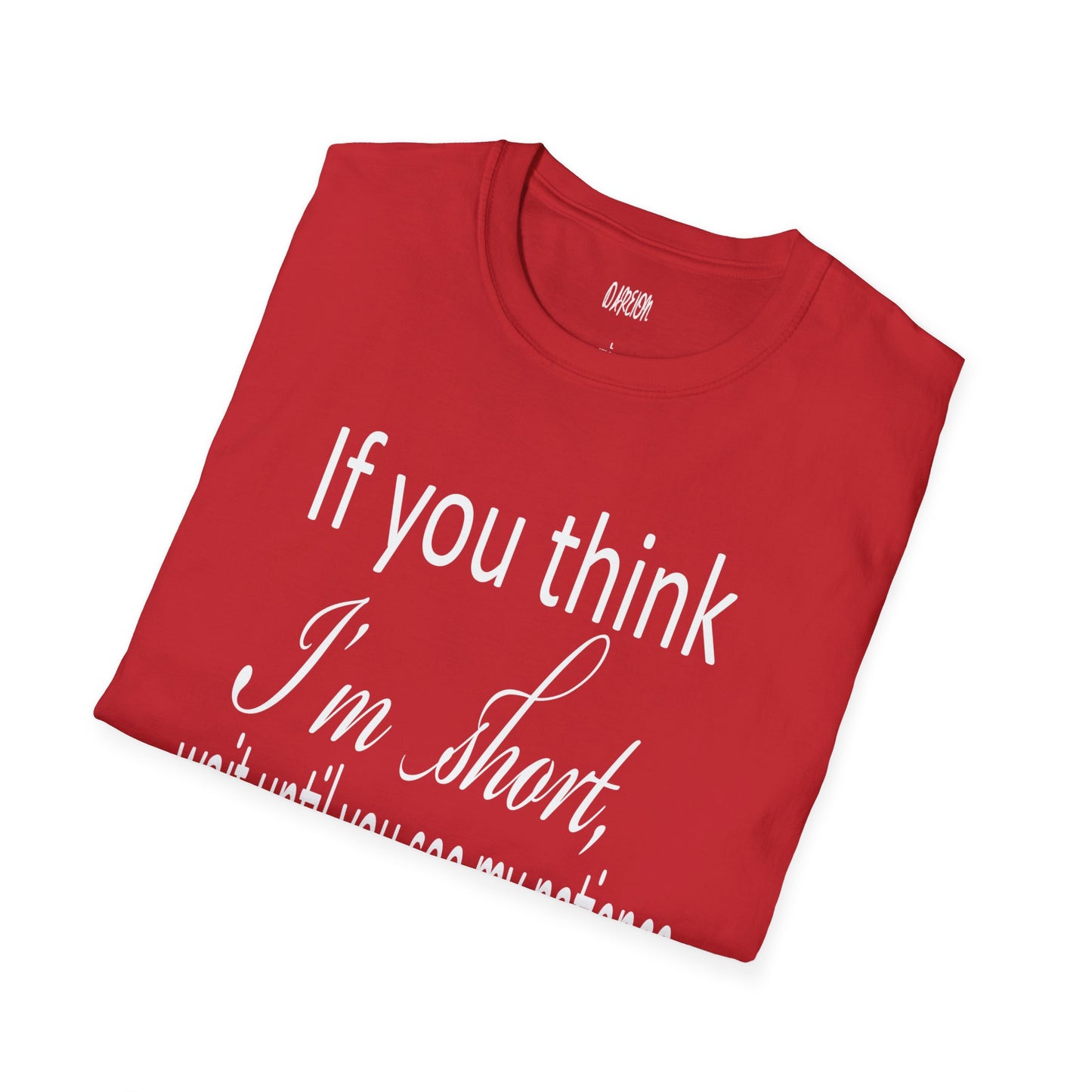 If You Think I'm Short Wait Until You See My Patience Softstyle Funny Sarcastic T-Shirt