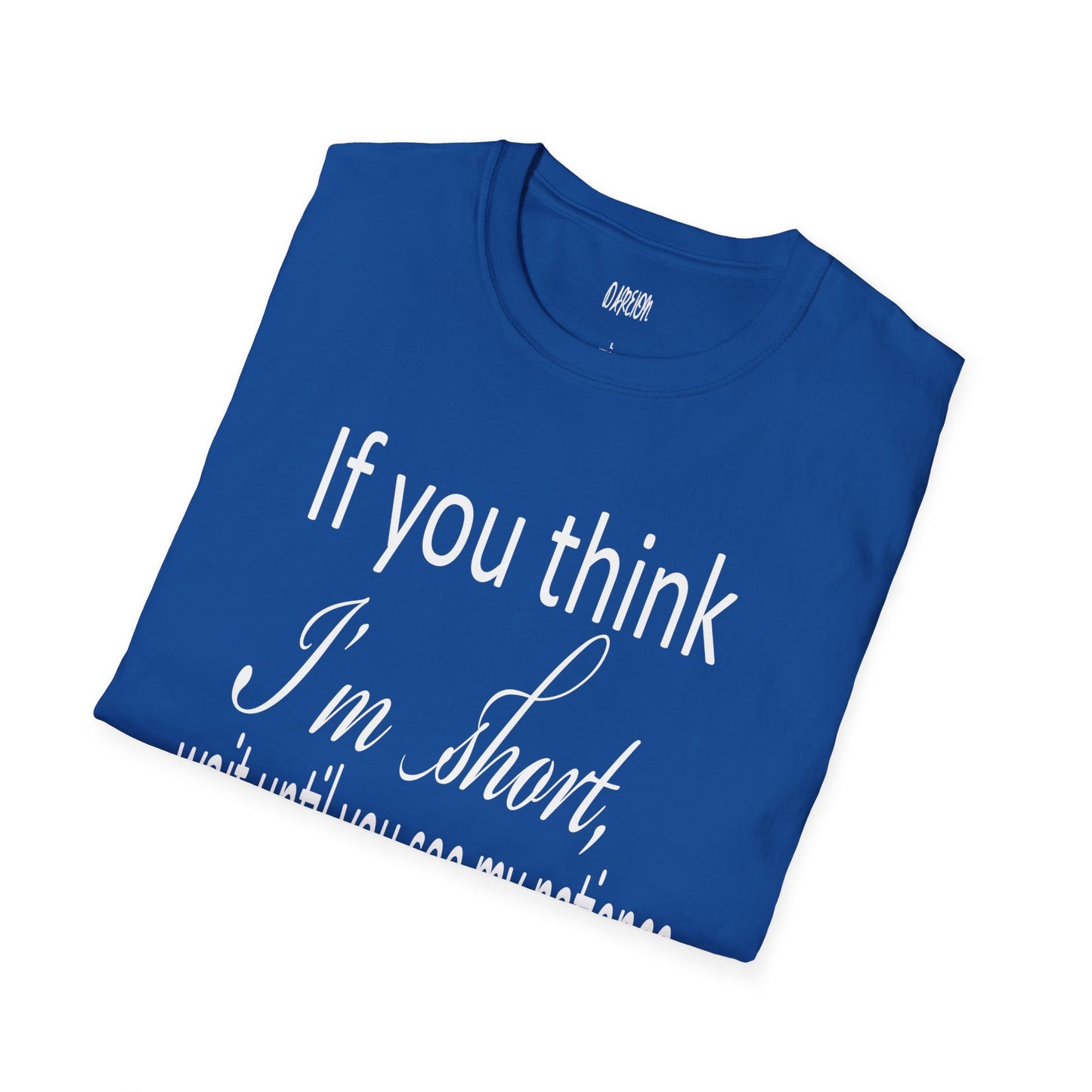 If You Think I'm Short Wait Until You See My Patience Softstyle Funny Sarcastic  T-Shirt