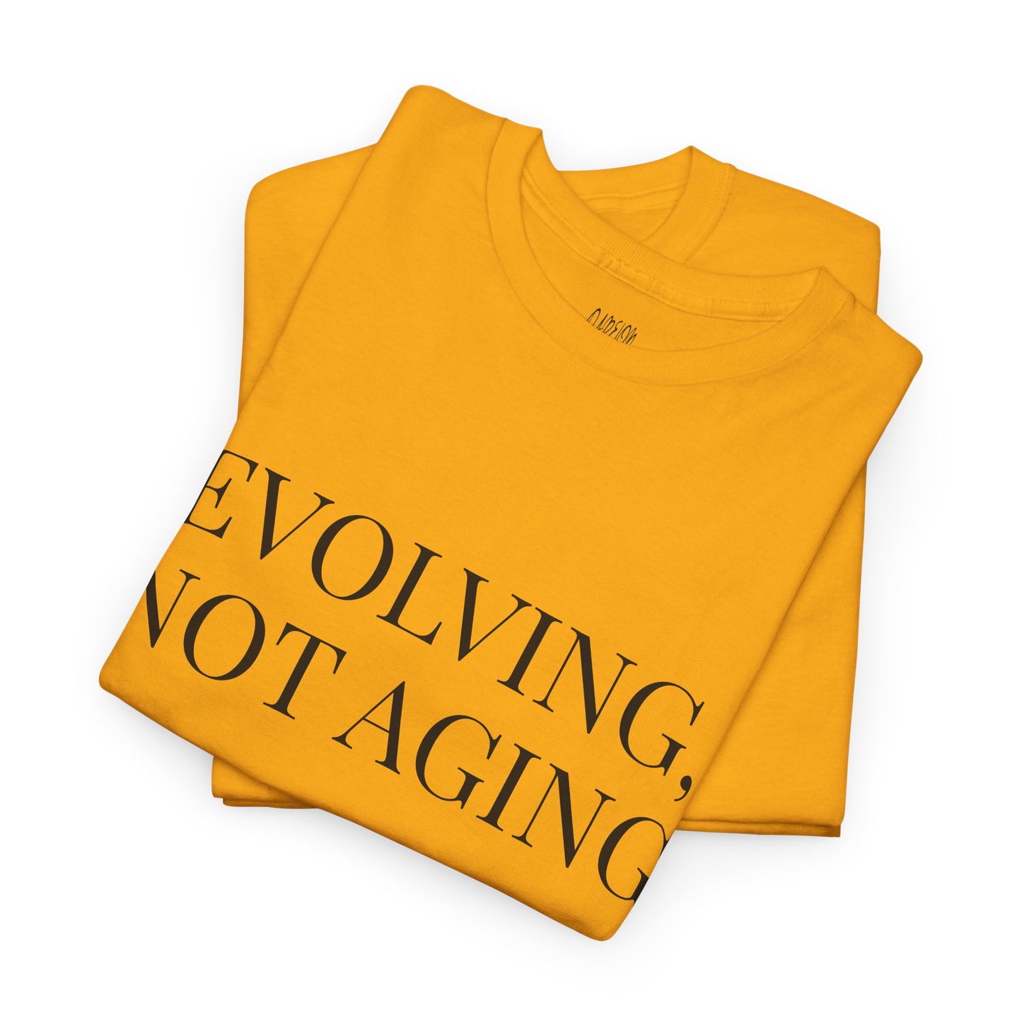 Evolving Not Aging T-Shirt | Inspirational Growth Mindset Graphic Tee for Women & Men